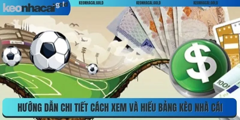 Hướng dẫn chi tiết cách xem và hiểu bảng Kèo Nhà Cái