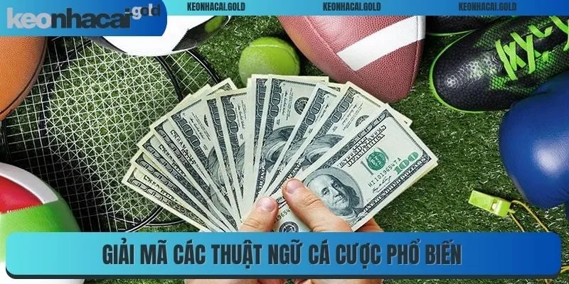 Giải mã các thuật ngữ cá cược phổ biến 