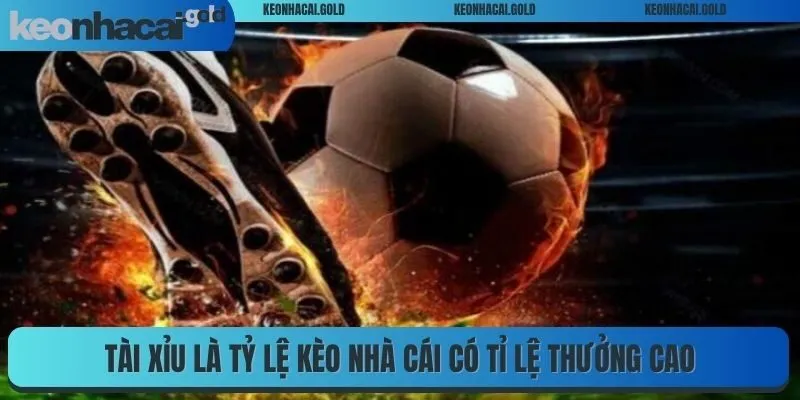 Tài xỉu là tỷ lệ kèo nhà cái có tỉ lệ thưởng cao