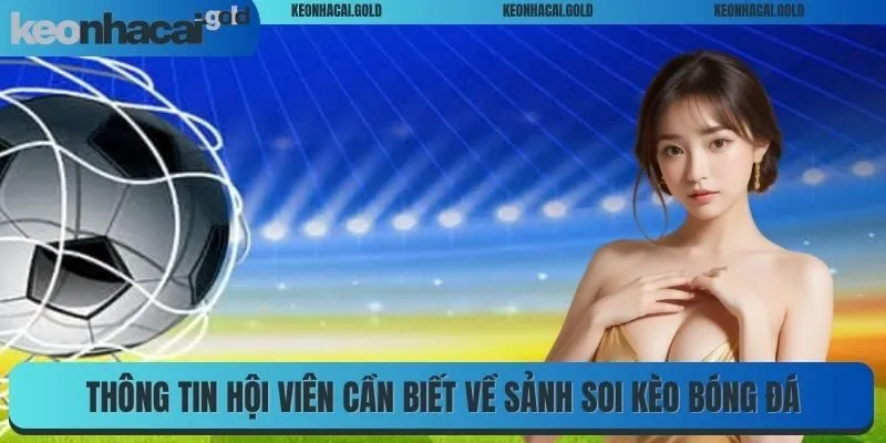 Thông tin hội viên cần biết về sảnh soi kèo bóng đá