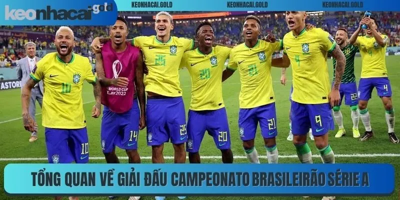 Tổng quan đôi nét về giải đấu Campeonato Brasileirão Série A